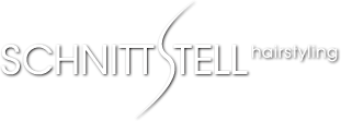 Logo - Schnittstellnk.ch